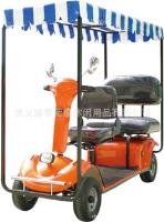 踏雪无痕2座运动休闲观光车TXWU-EV-8088